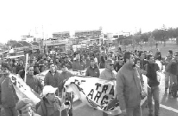 El Combatiente Nº 44